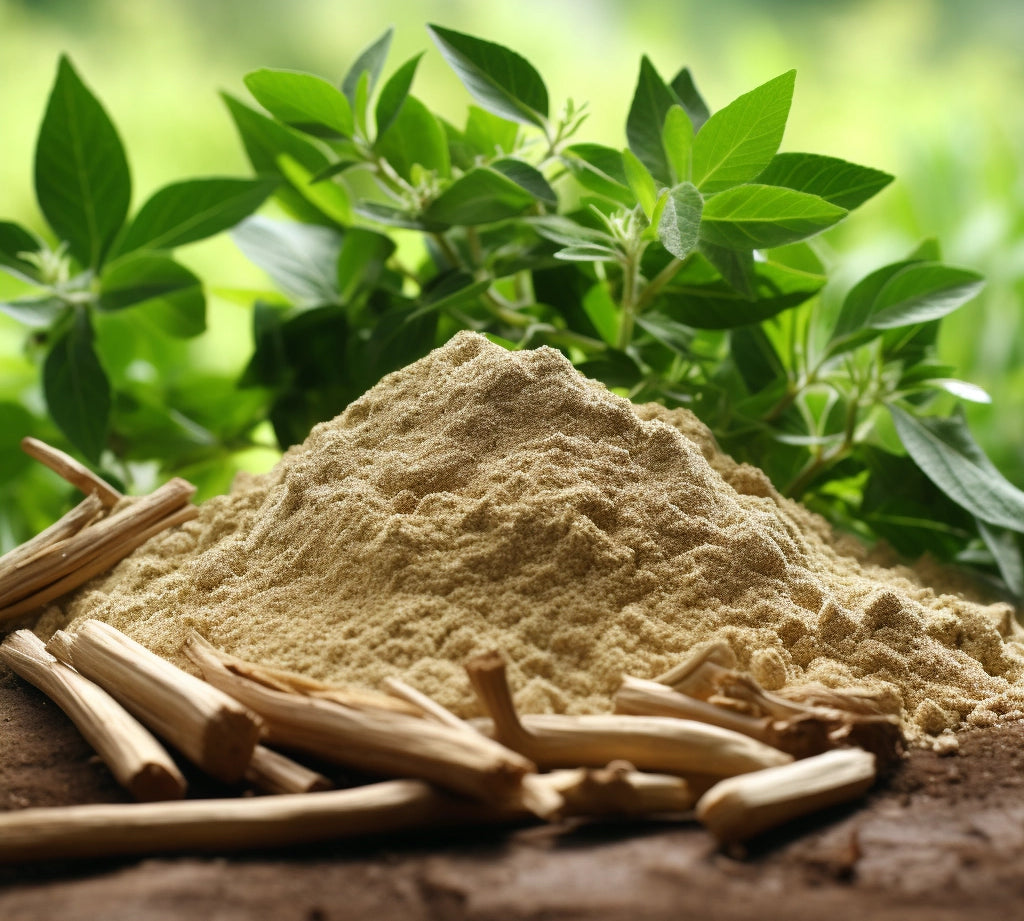Natuurlijke Remedies: Ashwagandha en Lion's Mane voor Stressbeheer en Cognitieve Verbetering