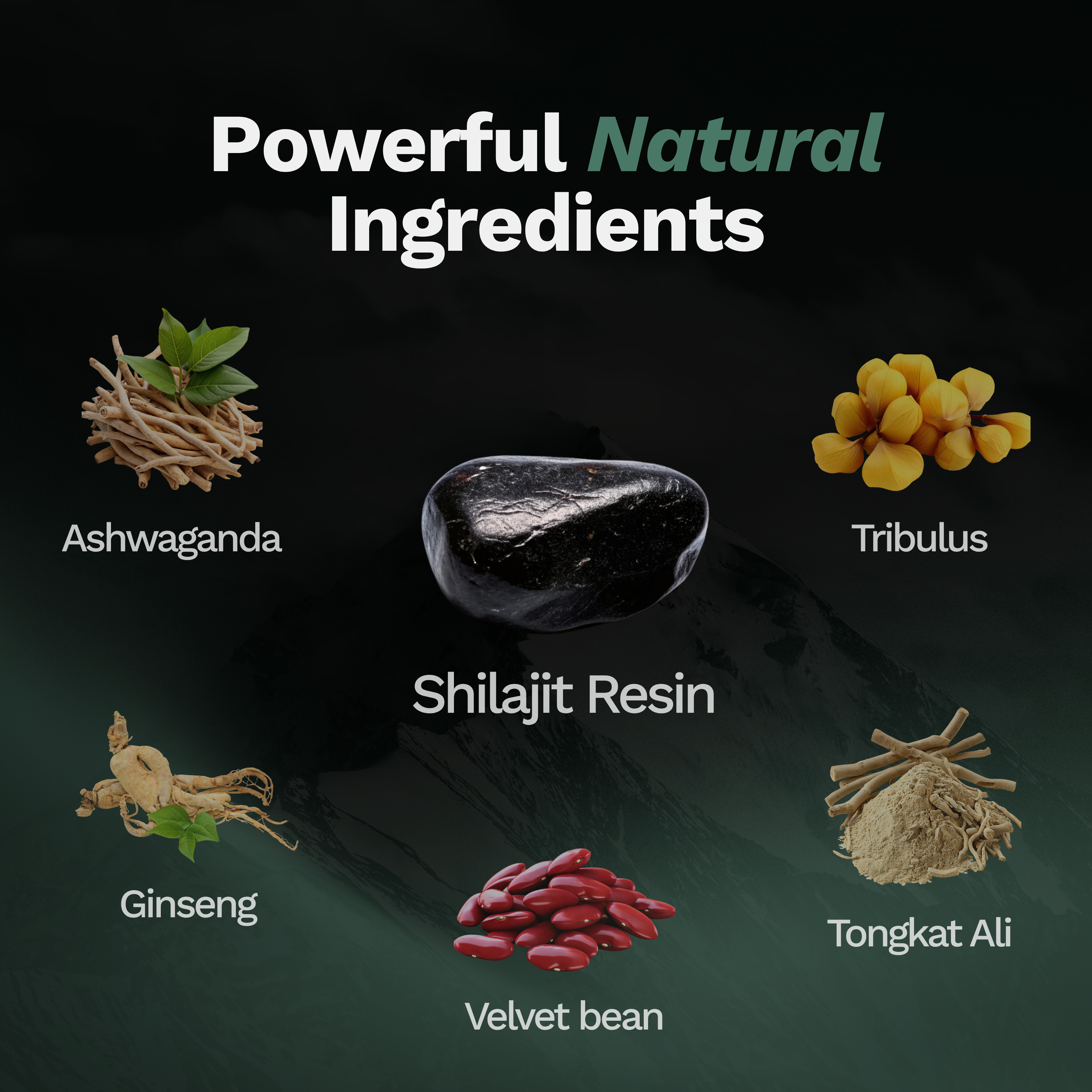 Shilajit Gummies | Last Longer. Stay Harder. Perform Better.