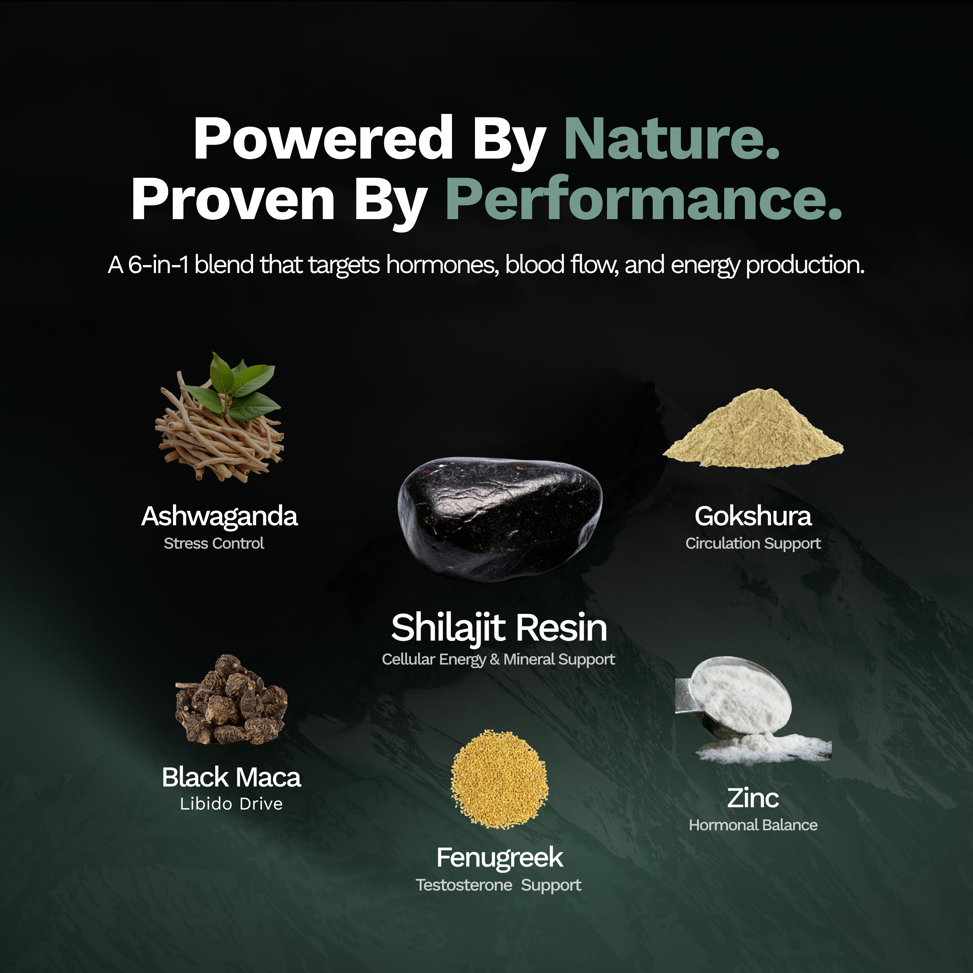 Planetized® 6-in-1 Performance Shilajit Gummies