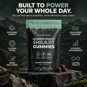 Planetized® 6-in-1 Performance Shilajit Gummies