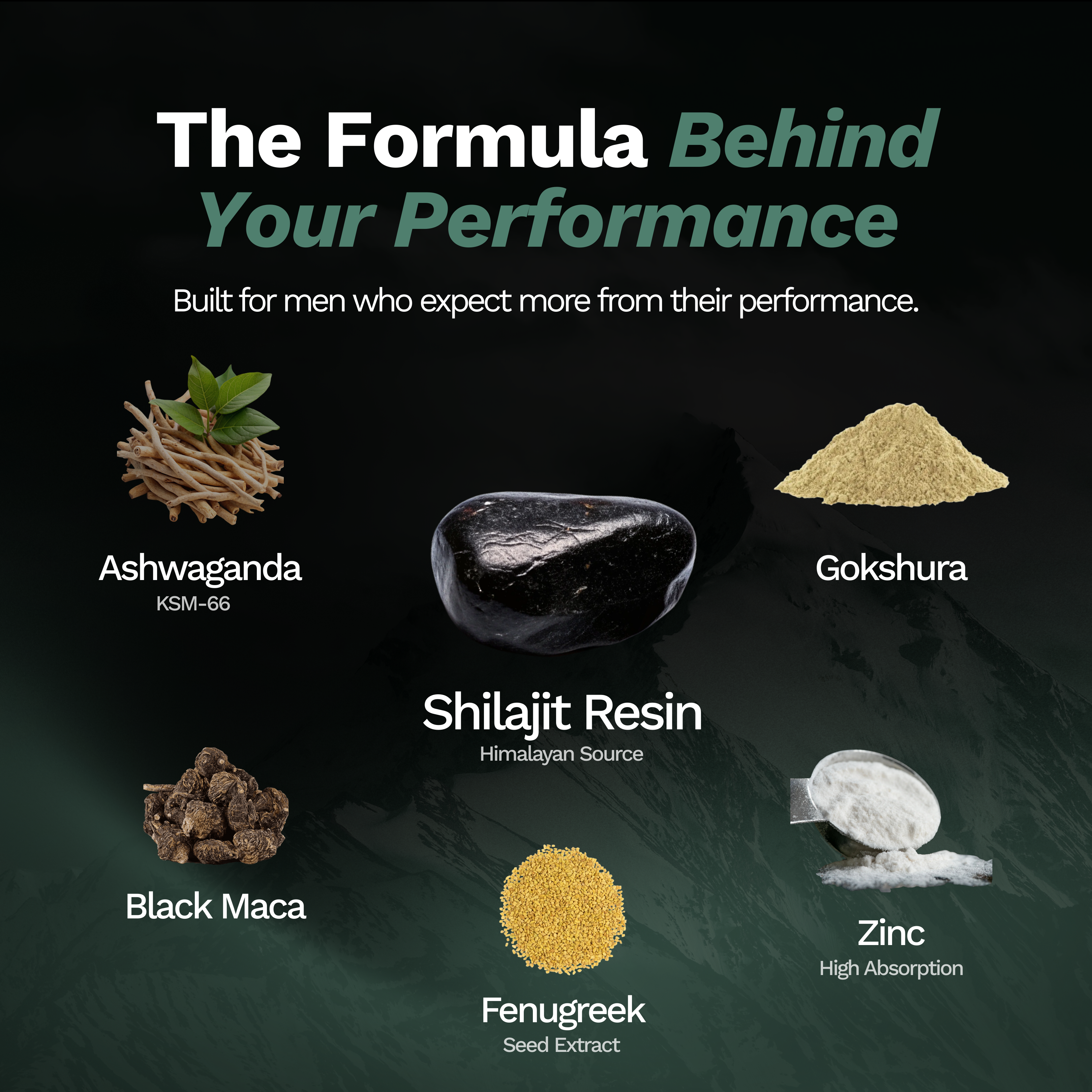 Planetized® 6-in-1 Performance Shilajit Gummies