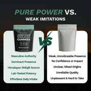 Planetized® 6-in-1 Performance Shilajit Gummies