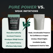 Shilajit Gummies | Pure Himalayan Mineral Complex - Free