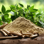 Planetized® Ashwagandha powder